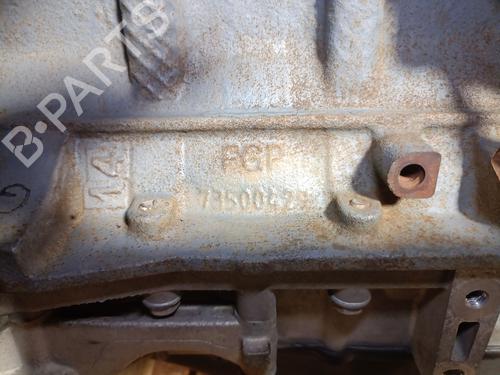 Engine FIAT PUNTO (188_) 1.3 JTD 16V | BP31067060M1