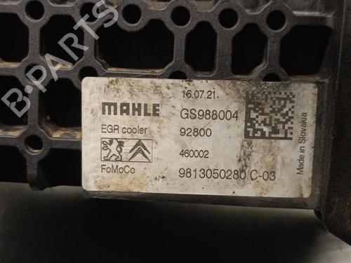 Egr OPEL VIVARO C Van (K0) 1.5 | BP31345833M69 