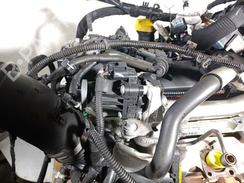 Engine RENAULT MEGANE IV Hatchback (B9A/M/N_) 1.5 dCi 110 (B9A3) | BP31832231M1