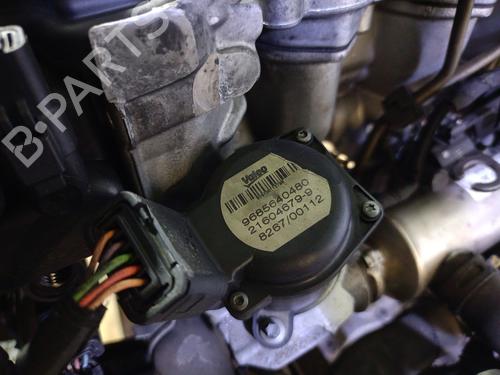 Engine CITROËN BERLINGO / BERLINGO FIRST MPV (MF_, GJK_, GFK_) 1.6 HDI 75 (MF9HW, GJ9HWC, GF9HWC, GN9HWC) | BP29395466M1 