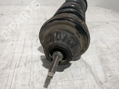 Right rear shock absorber SEAT IBIZA II (6K1) 1.0 i | BP20310369M19 