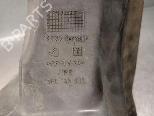 Frontplade/Frontkurv AUDI A6 C6 (4F2) 3.0 TDI quattro | BP38649937C72 - Image 4