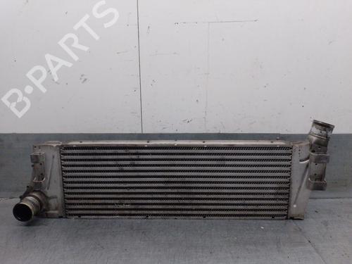 Intercooler RENAULT SCÉNIC II (JM0/1_) 1.5 dCi (JM02, JM13) (101 hp) 28289942