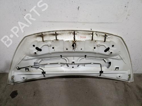 Hood FIAT TALENTO Van (296_) 1.6 D | BP31722206C1