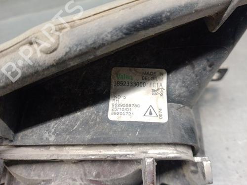 Right front fog light PEUGEOT 607 (9D, 9U) 2.2 HDi | BP29078361C31 