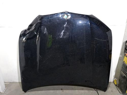 Used Hood BMW X6 (G06, F96) xDrive 40 d Mild-Hybrid (340 hp) 28726090