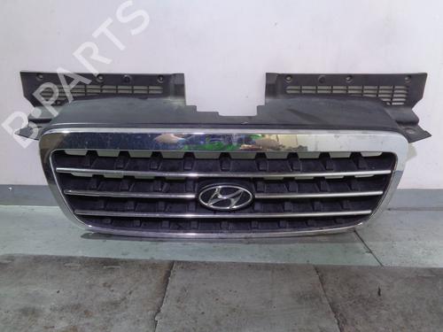 Used Grille HYUNDAI TRAJET (FO) 2.0 (136 hp) 13699774