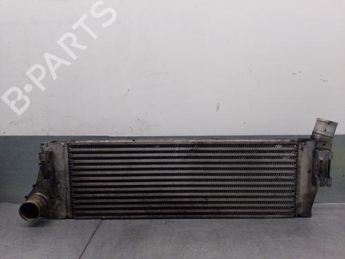 Intercooler RENAULT MEGANE II (BM0/1_, CM0/1_) 1.5 dCi (BM02, BM13, BM2A, CM02, CM13) (101 hp) 29325748