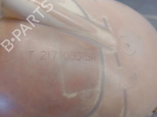 Expansion tank RENAULT MASTER III Van (FV) 2.3 dCi 125 FWD (FV0C, FV0D, FV0G, FV0H, FV0J, FV0K,... | BP30078703C120 