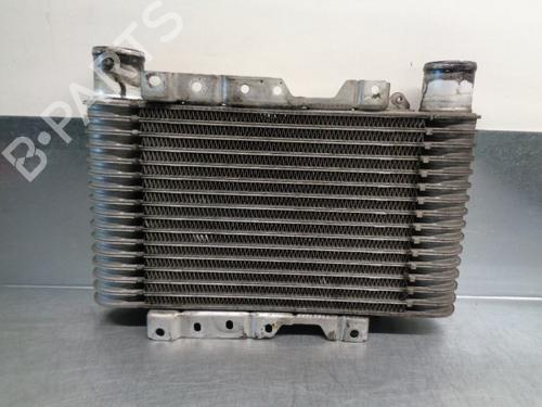 Intercooler HYUNDAI TERRACAN (HP) 2.5 TD | BP8915017M30 