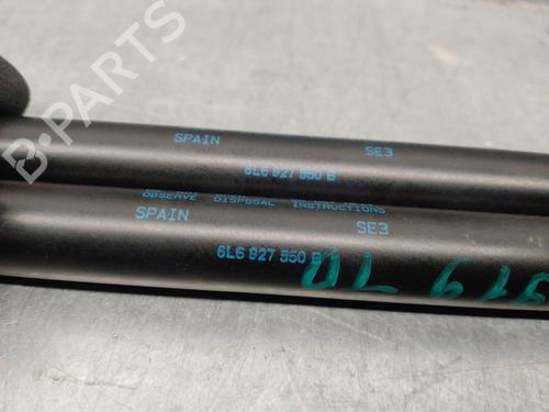 Tailgate lift support SEAT IBIZA III (6L1) 1.4 16V | BP17043479C138 