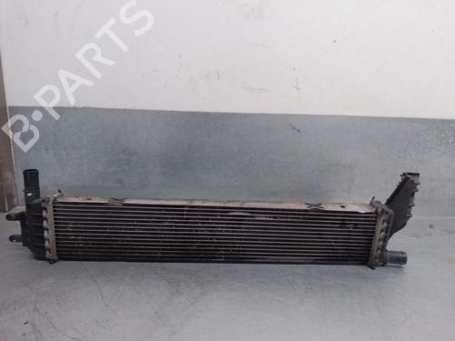 Used Water radiator Water radiator DACIA LOGAN II 1.5 Blue dCi 95 (L8JL) (95 hp) 32483026 32483026