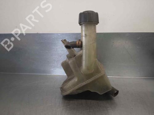 Used Expansion tank RENAULT LAGUNA II (BG0/1_) 1.8 16V (BG0B, BG0C, BG0J, BG0M, BG0V) (121 hp) 10168738