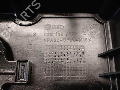 Cylinder head VW PASSAT B6 Variant (3C5) 2.0 TDI | BP31924690M5