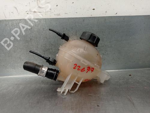 Used Expansion tank PEUGEOT 5008 II (MC_, MJ_, MR_, M4_) 1.5 BlueHDi 130 (MCYHZJ, MCYHZR, MCYHZX) (131 hp) 26026009