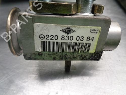 Air conditioning evaporator MERCEDES-BENZ VITO / MIXTO Van (W639)  | BP11669425M109 