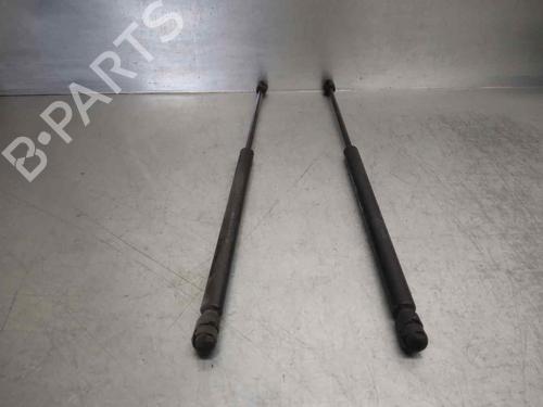 Hood lift support JAGUAR S-TYPE II (X200) 3.0 V6 | BP14328571C139 