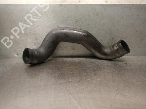Used Pipe PEUGEOT BIPPER (AA_) [2008-2025]  30044019