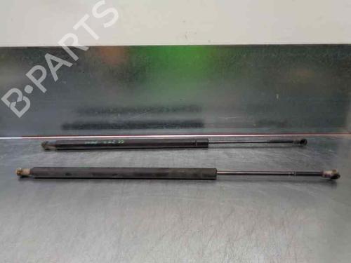 Tailgate lift support BMW X5 (E53) 3.0 d | BP20255636C138 