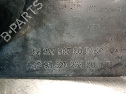 Wheel arch PEUGEOT 2008 II (UD_, US_, UY_, UJ_, UR_, UC_) 1.5 BlueHDI 110 (UDYHSK) | BP26494251C56 