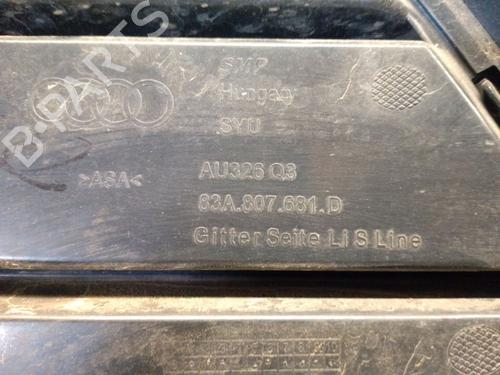 Grill AUDI Q3 (F3B) 35 TDI | BP30001264C40 