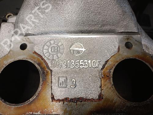 Cylinder head PEUGEOT 406 Coupe (8C) 2.2 HDI | BP28424366M5 