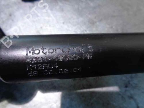 Right rear shock absorber FORD FIESTA V (JH_, JD_) 1.6 TDCi | BP4894109M19 