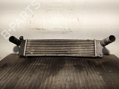 Used Intercooler LAND ROVER FREELANDER I (L314) 2.0 Td4 4x4 (112 hp) 18057216