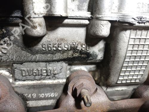 Engine CITROËN BERLINGO / BERLINGO FIRST MPV (MF_, GJK_, GFK_) 1.6 HDI 75 (MF9HW, GJ9HWC, GF9HWC, GN9HWC) | BP31213576M1 