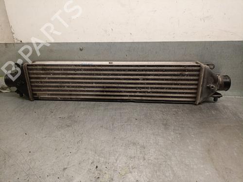 Intercooler FIAT DOBLO Cargo (263_) 1.3 D Multijet (90 hp) 23452144
