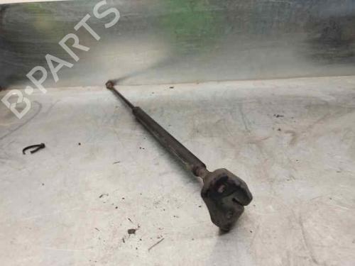 Hood lift support SEAT ALHAMBRA (7V8, 7V9)  | BP20255776C139 