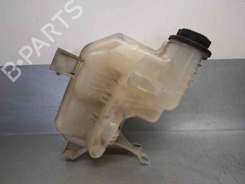 Used Expansion tank LAND ROVER RANGE ROVER SPORT I (L320) 2.7 D 4x4 (190 hp) 12205618