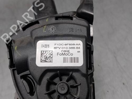 Pedal FORD C-MAX II (DXA/CB7, DXA/CEU)  | BP17039787I4 