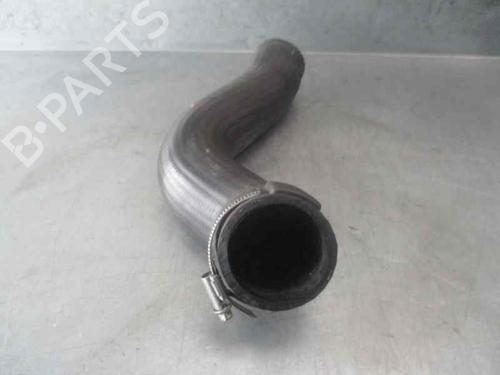 Pipe OPEL SIGNUM Hatchback (Z03) 3.0 V6 CDTI (F48) | BP20254522M125 
