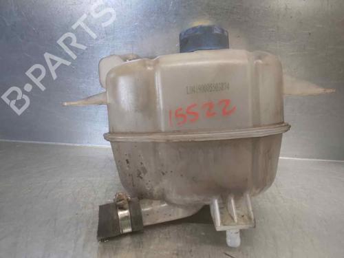 Used Expansion tank CITROËN NEMO Box Body/MPV (AA_) 1.3 HDi 75 (75 hp) 10077081