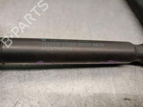 Hood lift support MINI MINI (R56)  | BP30183090C139 