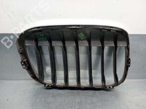 Grille BMW X1 (F48) sDrive 18 d | BP27873021C40 