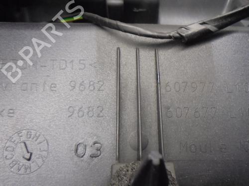 Tailgate handle CITROËN C4 Picasso I MPV (UD_) 1.6 VTi 120 | BP15856063C132 