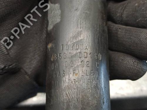 Right rear shock absorber TOYOTA YARIS (_P1_) 1.3 (SCP12_, SCP13_, SCP12R, SCP13R) | BP16078499M19 