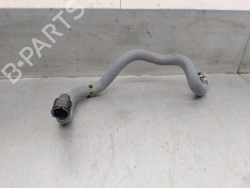 Pipe RENAULT AUSTRAL TCe 130 (HGM2) | BP23262137M125 