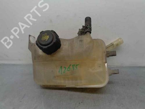 Used Expansion tank RENAULT MEGANE III Hatchback (BZ0/1_, B3_) 1.9 dCi (BZ0N, BZ0J) (131 hp) 7045227
