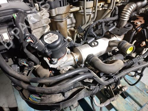 Engine CITROËN BERLINGO / BERLINGO FIRST MPV (MF_, GJK_, GFK_) 1.6 HDI 75 (MF9HW, GJ9HWC, GF9HWC, GN9HWC) | BP31213576M1 