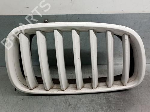 Used Grille BMW X5 (E70) xDrive 30 d (235 hp) 32001312