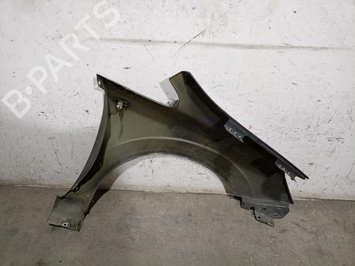 Left front fenders OPEL ZAFIRA / ZAFIRA FAMILY B (A05) 1.9 CDTI (M75) | BP23208793C41 