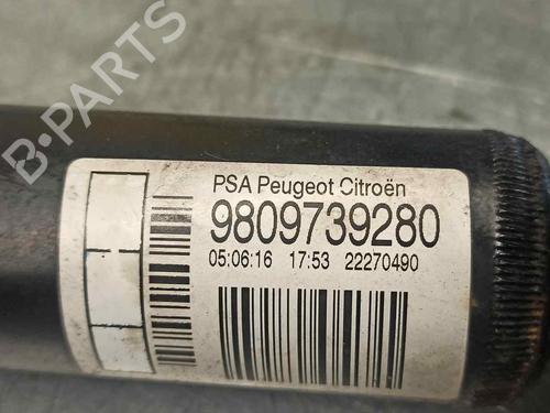 Left rear shock absorber CITROËN C4 CACTUS 1.6 BlueHDi 100 | BP11973955M18 