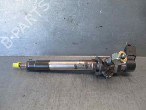 Injector LAND ROVER RANGE ROVER SPORT I (L320) 2.7 D 4x4 | BP6875084M100 