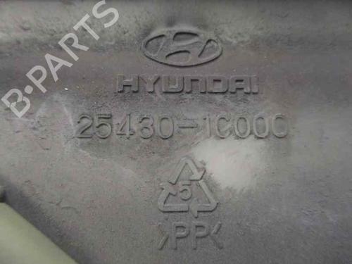Expansion tank HYUNDAI GETZ (TB) 1.5 CRDi | BP2076160C120 