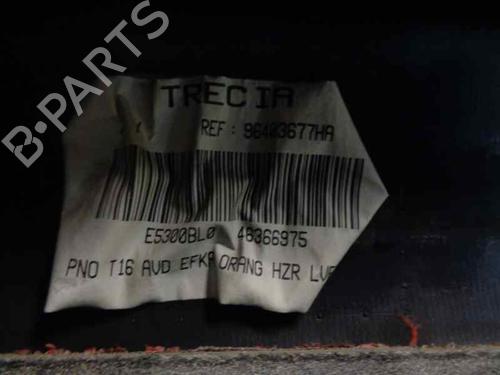 Front right panel PEUGEOT 206 CC (2D) 1.6 16V (2DNFUF, 2DNFUR) | BP7045075C59 