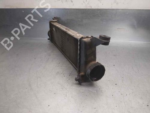 Intercooler MERCEDES-BENZ A-CLASS (W168) A 170 CDI (168.009, 168.109) | BP9393152M30 