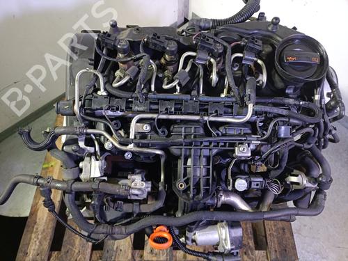 Engine SEAT IBIZA IV ST (6J8, 6P8) 1.6 TDI | BP30105993M1